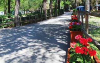 Interno Camping Village Santapomata